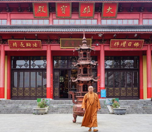 一缘三地 作者 释耀法 南京