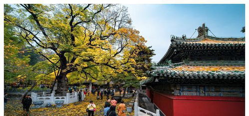 北京 备受争议 的寺庙,距今1700多年的历史,离市中心仅30公里