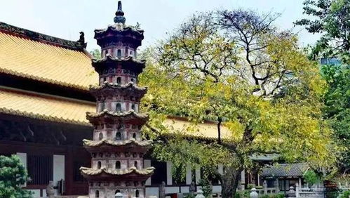心诚则灵 广东十大古寺,历史悠久,清幽绿意深 你去过哪个 上