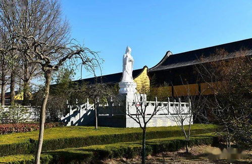 盐城旅游年卡 射阳息心寺