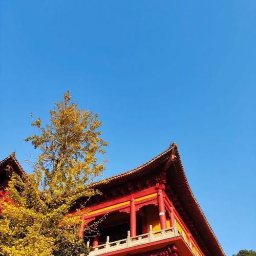 洗心禅寺门票,洗心禅寺游玩攻略 360地图