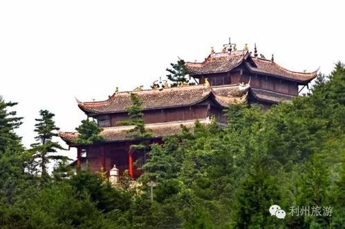 元旦将至 你想怎么玩