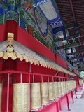 【图】温江万春明心寺_1