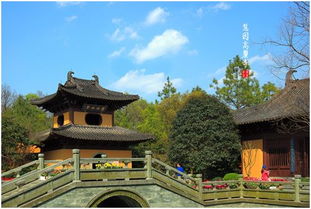 一声佛号一声心 探访慧因高丽寺