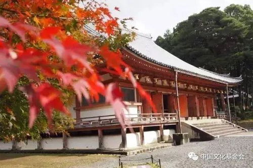 日本把整个洛阳都搬走了，我们却浑然不知——即心寺的启示