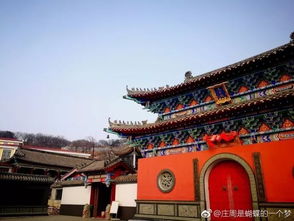 大连这座国家森林公园再也藏不住了，即将迎来最美的时节 每一眼都是惊艳 即心寺
