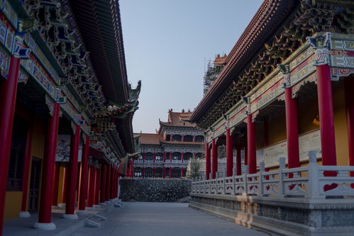 邂逅阳江的小众美 与自然相拥,于即心寺品惬意生活